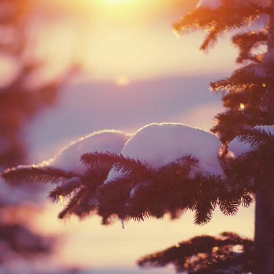 1920 x 1080 HD Wallpapers 1922